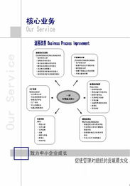 流程改善咨询项目 企业提质增效的智能引擎