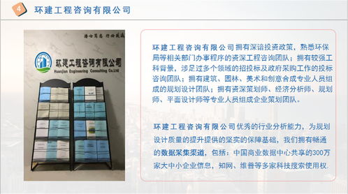 汤阴县2022年度社会稳定风险评估分析与咨询策划服务概述