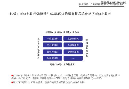 新组织设计CRSM模型与LWC咨询服务模式介绍 构建敏捷战略与可持续成长的咨询策划服务